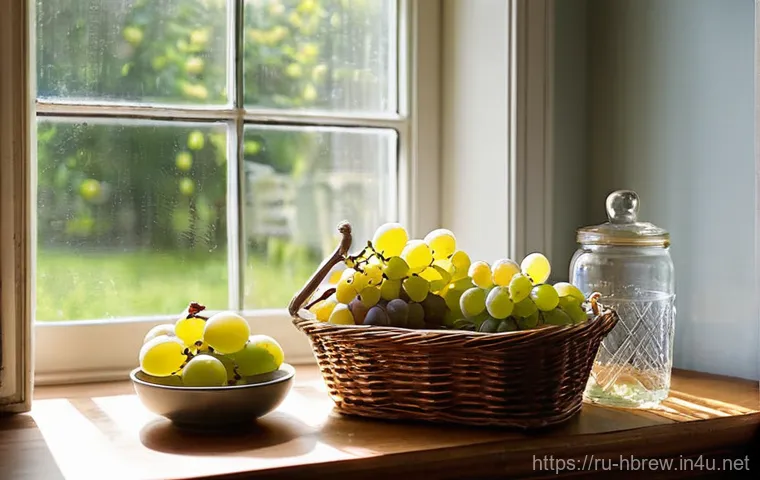 홈메이드 술 초보자를 위한 가이드 - **Prompt 1: The Aspiring Home Winemaker's First Steps**
    A brightly lit, cozy kitchen scene, feat...